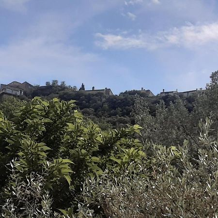 Le Chemin De Bruniele Daire Aubres Dış mekan fotoğraf
